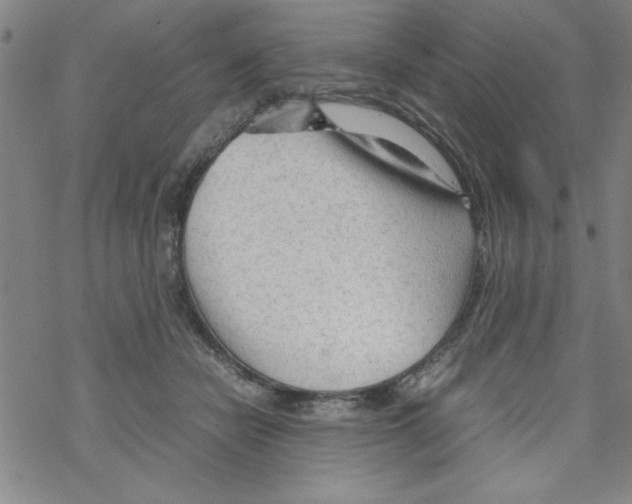 X0000067520462200605051859