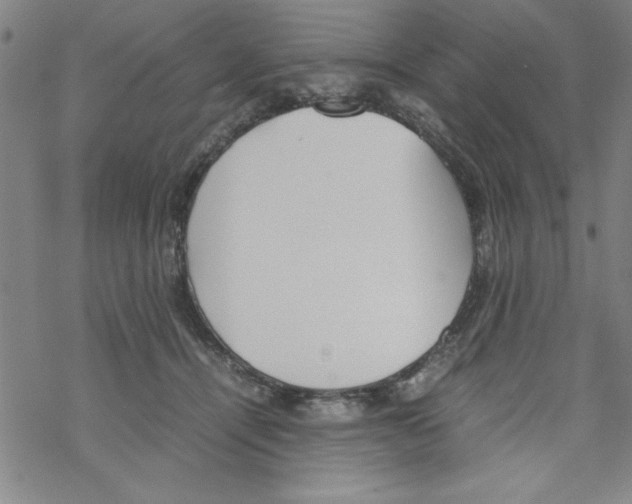 X0000067520464200605051859