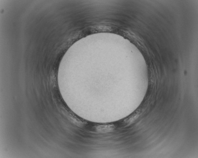 X0000067520465200605051859