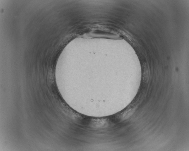 X0000067520469200605051859