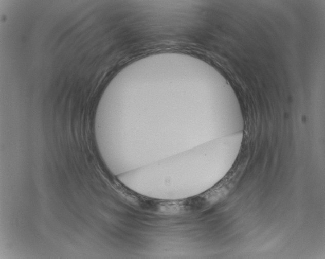 X0000067520470200605051859