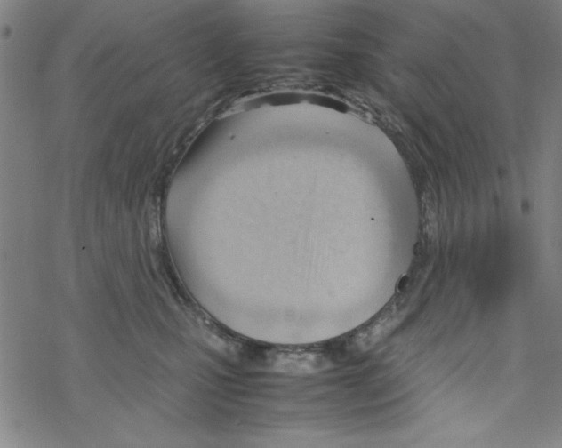 X0000067520471200605051859