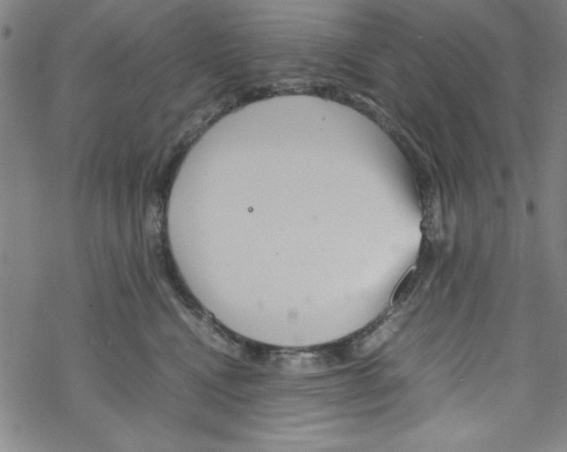 X0000067520472200605051859