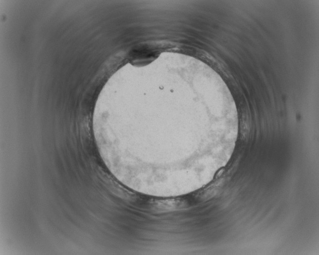 X0000067520473200605051859