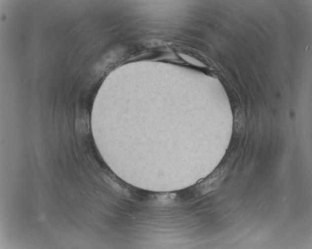 X0000067520474200605051859