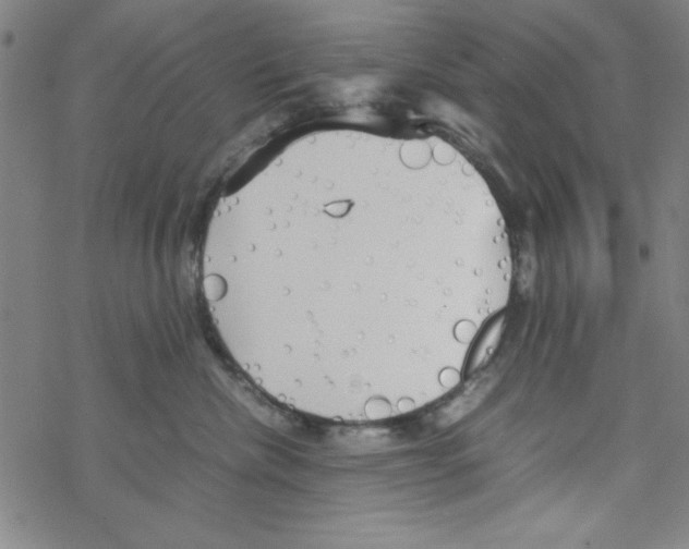 X0000067520476200605051859