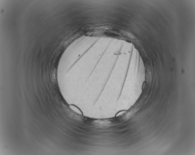 X0000067520477200605051859