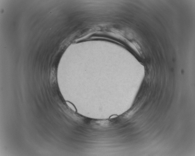 X0000067520478200605051859