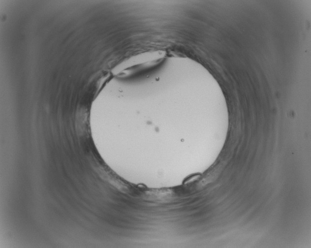 X0000067520480200605051859