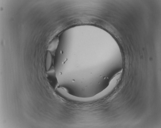 X0000067520481200605051858