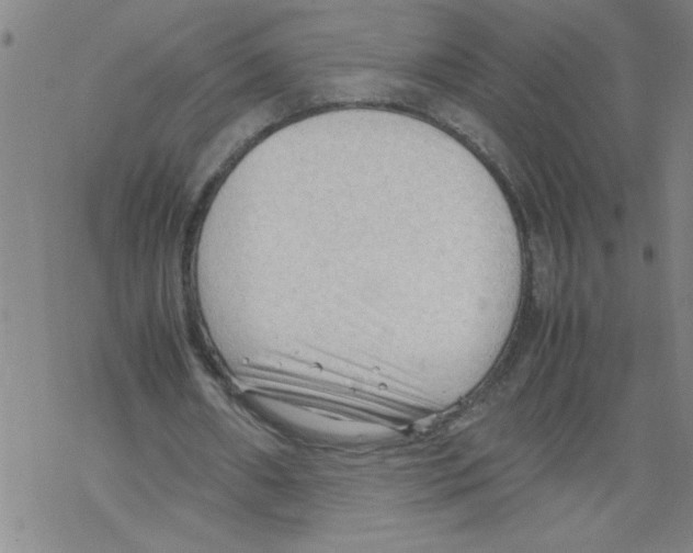 X0000067520482200605051858