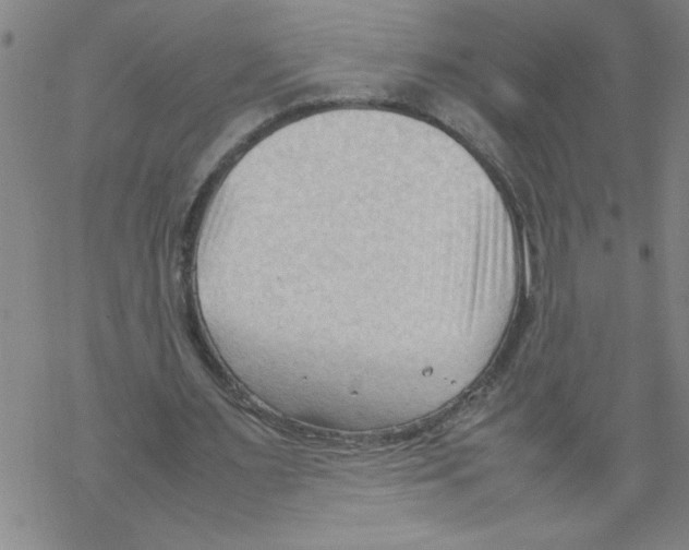 X0000067520483200605051858