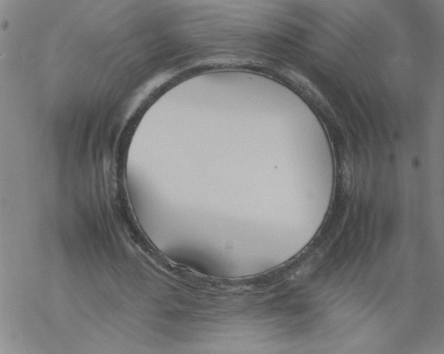 X0000067520484200605051858