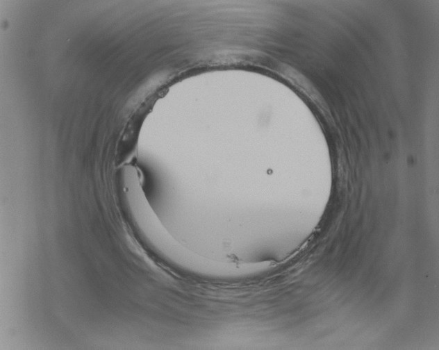 X0000067520485200605051858