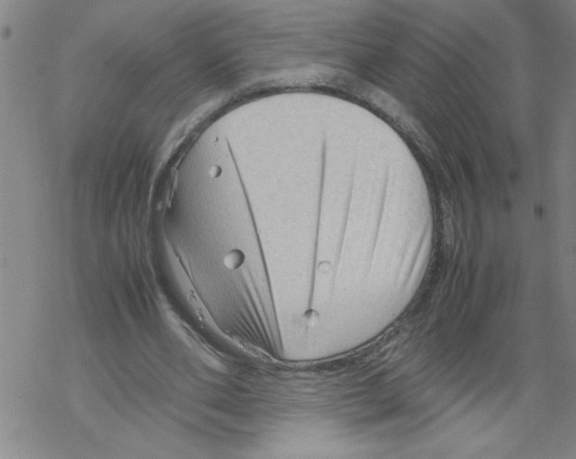 X0000067520486200605051858