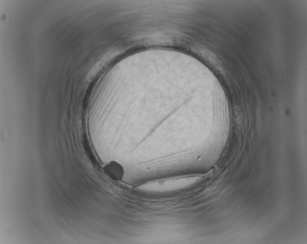 X0000067520487200605051858