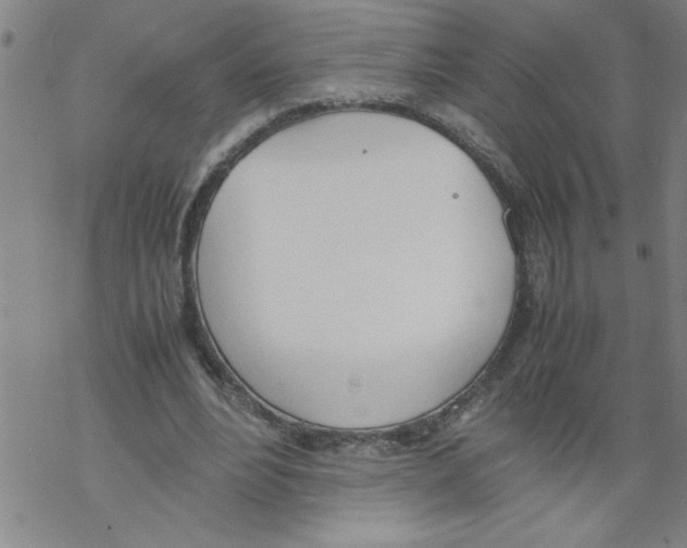 X0000067520488200605051858