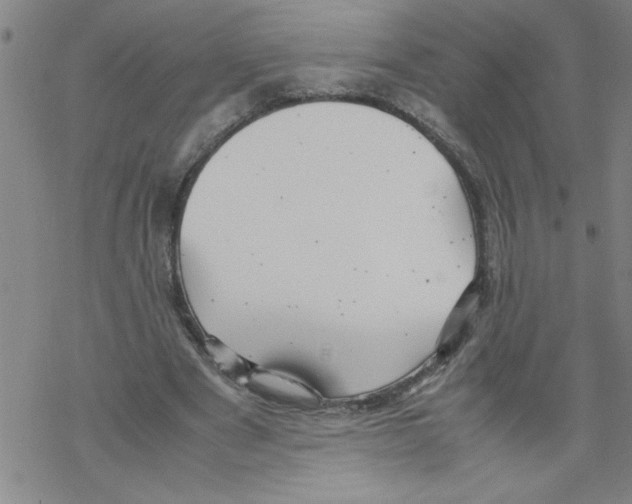 X0000067520489200605051858