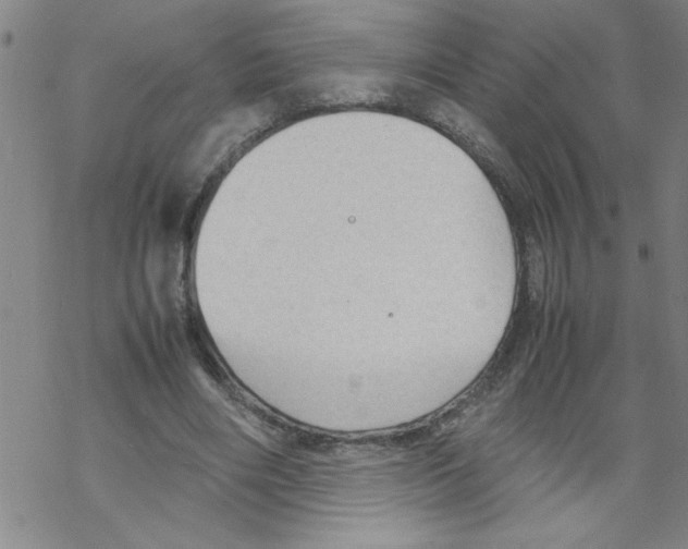 X0000067520490200605051858