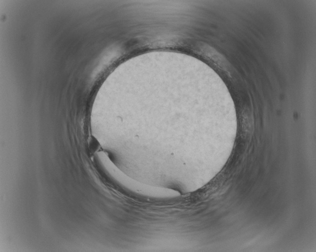 X0000067520491200605051858