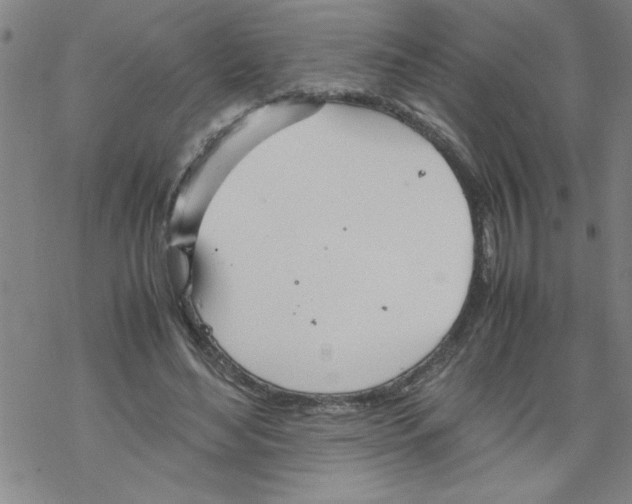 X0000067520492200605051858