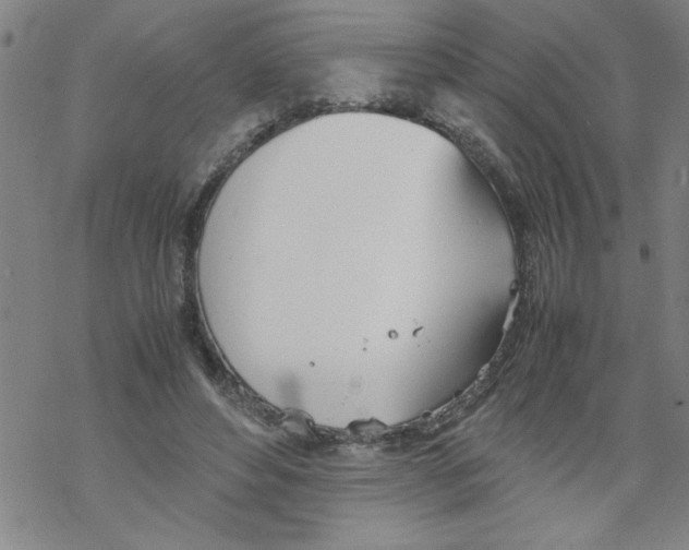 X0000067520496200605051858