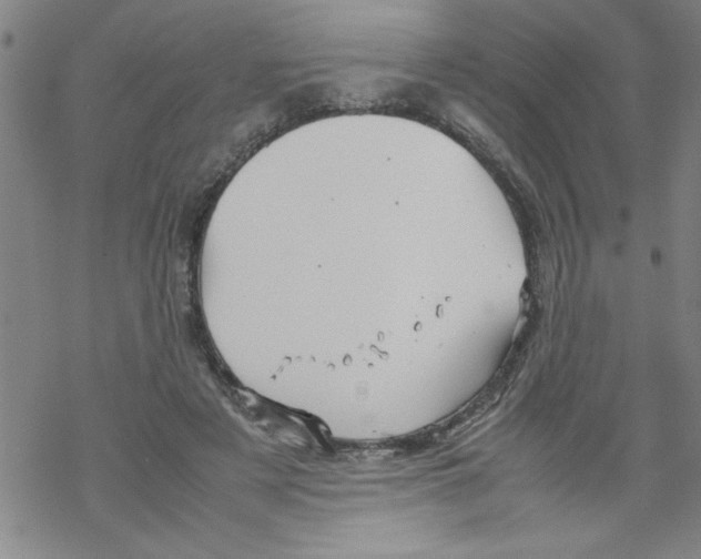 X0000067520497200605051858