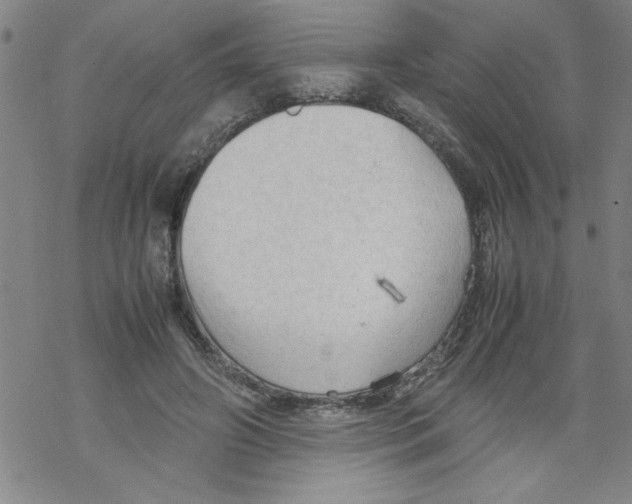 X0000067520498200605051858