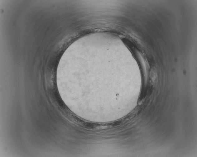 X0000067520499200605051858