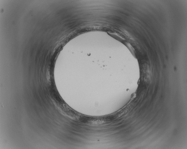 X0000067520500200605051858