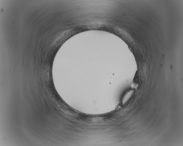 X0000067520501200605051858