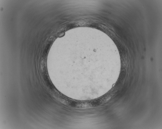 X0000067520503200605051858