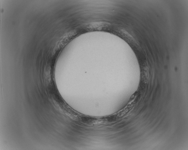 X0000067520504200605051858