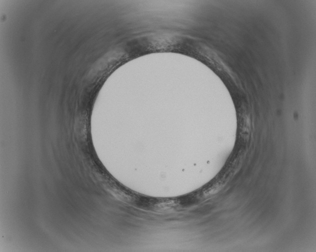 X0000067520505200605051858