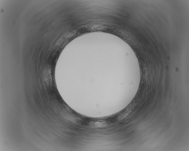 X0000067520506200605051858