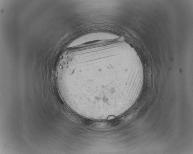 X0000067520507200605051858