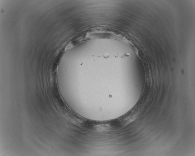 X0000067520508200605051858