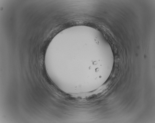 X0000067520509200605051858