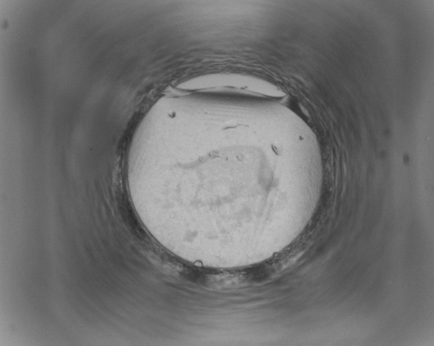 X0000067520511200605051858