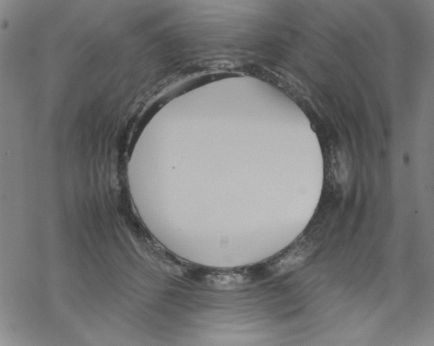 X0000067520512200605051858