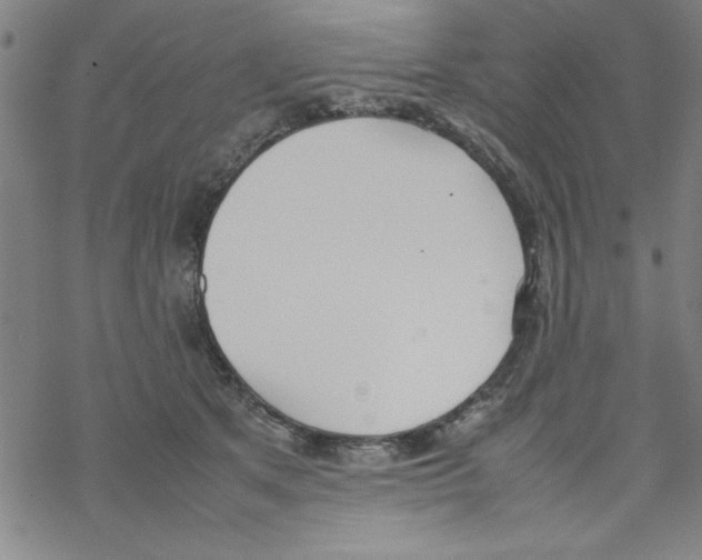 X0000067520513200605051858