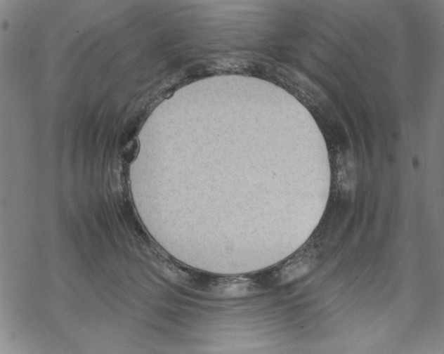 X0000067520514200605051858