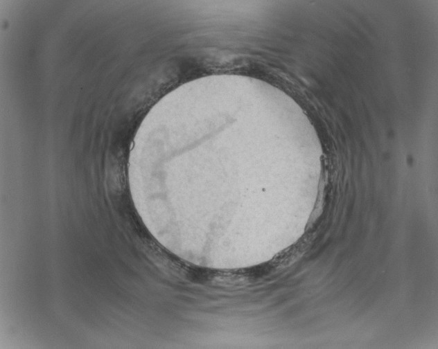 X0000067520515200605051858