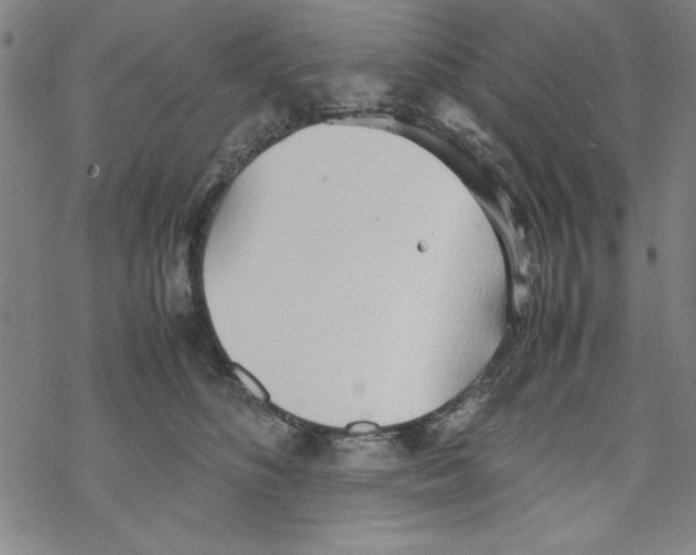 X0000067520516200605051858