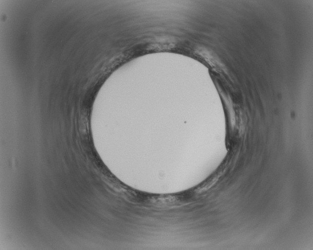 X0000067520517200605051858