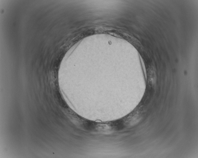 X0000067520519200605051858