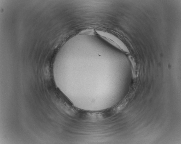 X0000067520520200605051858