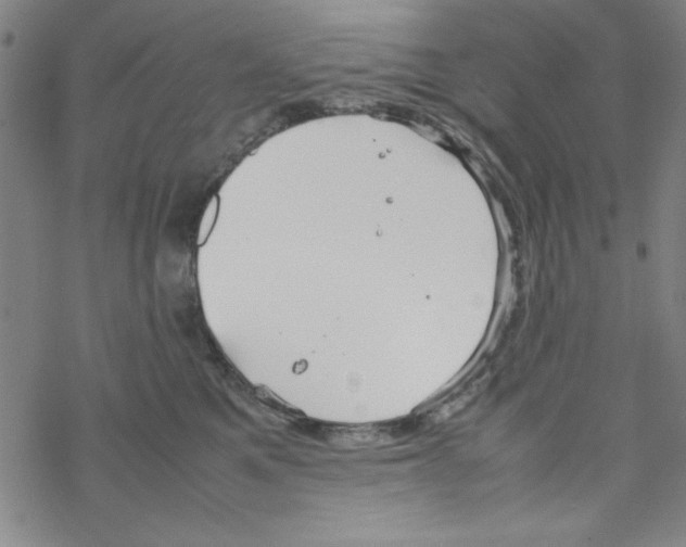 X0000067520521200605051858