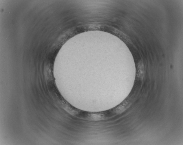 X0000067520522200605051858