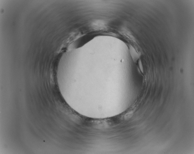 X0000067520524200605051858